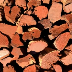 LET'S BRAAI Kameeldoring Braai wood 30kg Namibian Hardwood