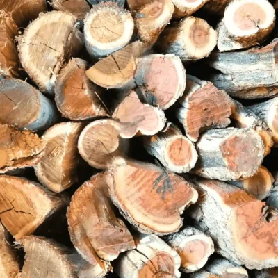 Rooikrans Braai Wood | Fast-Lighting African Hardwood | UK