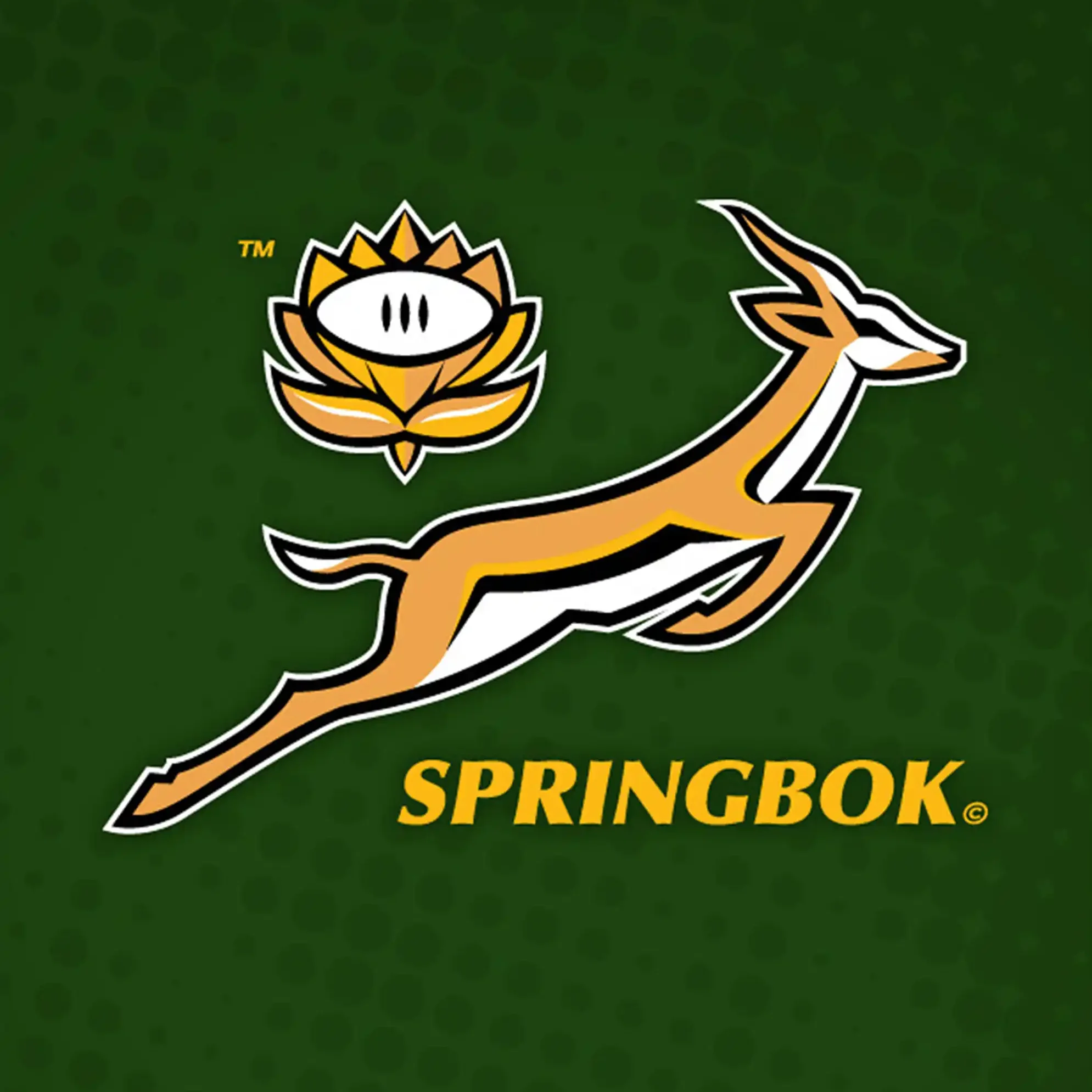 Lets-Braai-Wood-BBQ-Firewood-Hardwood-UK-rugby-7