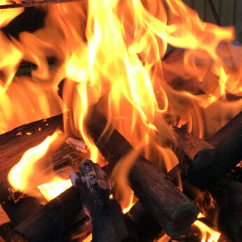 Flames burning hardwood braai, Bbq with wood