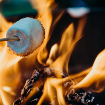 Lets-Braai-Mopane-3 Roasting your marshmallow with mopane wood for fire pits