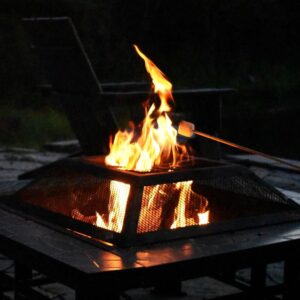 Let's Braai with Mopane wood for fire pits with roasting marshmallow