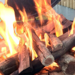 Lets-Braai-Sekelbos-wood-9