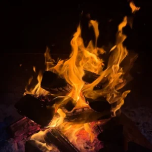 Lets Braai Wood BBQ Firewood Hardwood UK