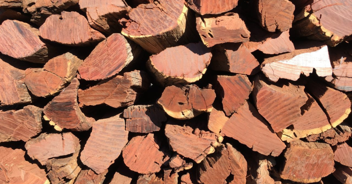 Best Practice to store your Braaiwood and Firewood