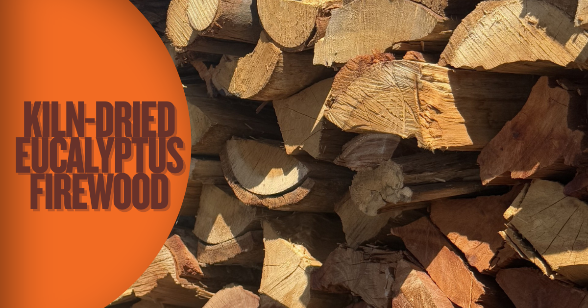 Kiln-dried eucalyptus firewood