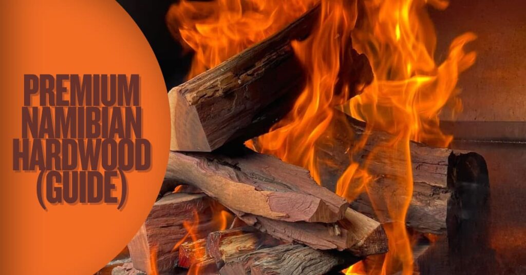 Best Wood for a Braai in the UK (2026 Complete Guide)