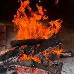 Lets Braai Wood BBQ Firewood Hardwood