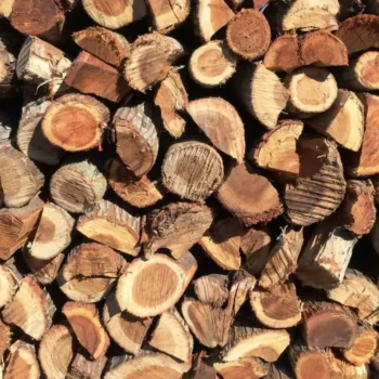 African-Hardwood-Firewood-Braaiwood-Rooikrans